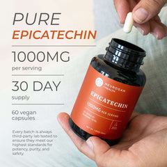 Epicatechin Dietary Supplement Fitness Support