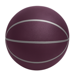 Quiet Bounce Indoor Basketball